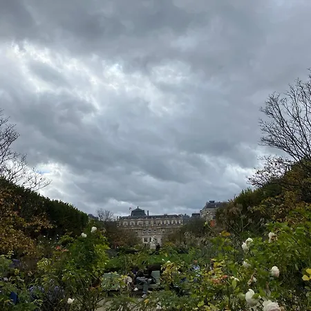 Next To Louvre * Paris