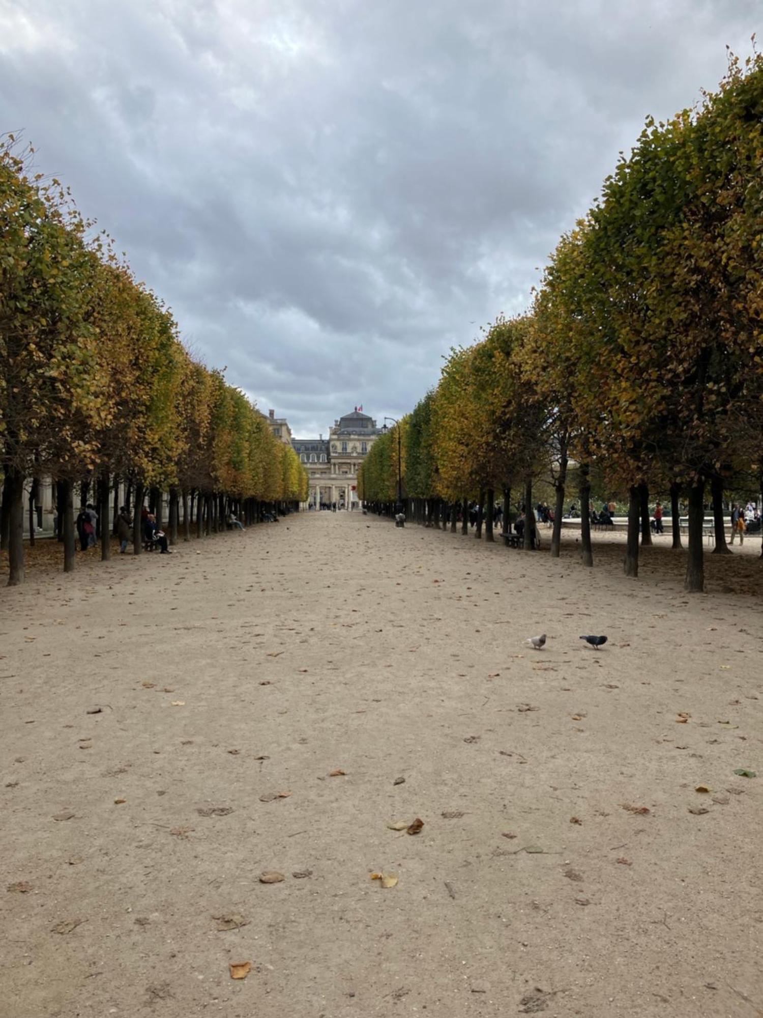 Next To Louvre Appartamento Parigi